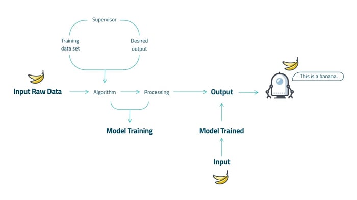 Supervised Machine Learning Algorithms